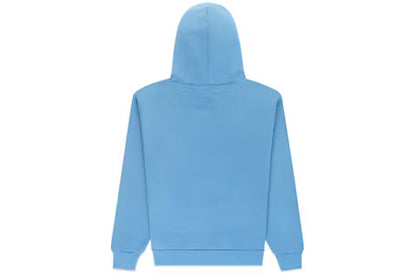 SPYDER Hoodie Spider Web Graphic